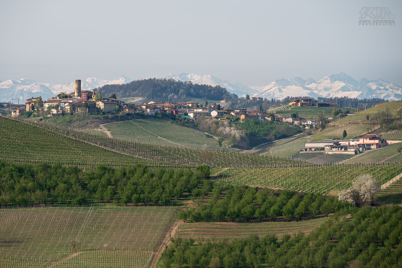 Langhe regio De prachtige Langhe Roero Monferrato regio met de vele beroemde wijngaarden en pittoreske dorpjes op de heuvels en in de verte de nog besneeuwde Alpen toppen Stefan Cruysberghs